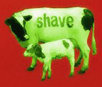 Shave Farm Artists logo