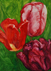 Tulips by Melissa Wraxall
