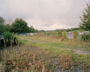 Ian Harris - DISMANTLED