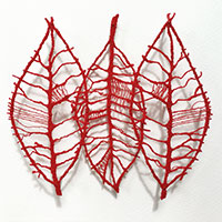 Shuya Cheng