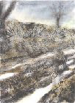 WPC 4